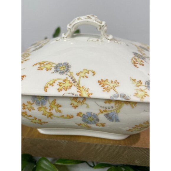 Antique Haviland Limoges Porcelain Lidded Tureen Floral Design - Picture 7 of 16